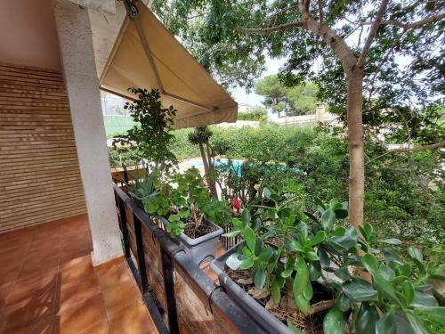 Chalet R�stico Con Piscina Y Barbacoa, Valencia
