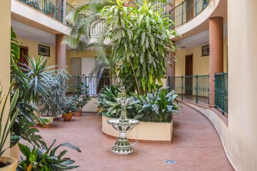 Apartamento A222 El Recreo