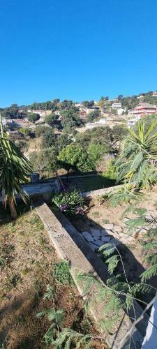 Can Domenech Montnegre