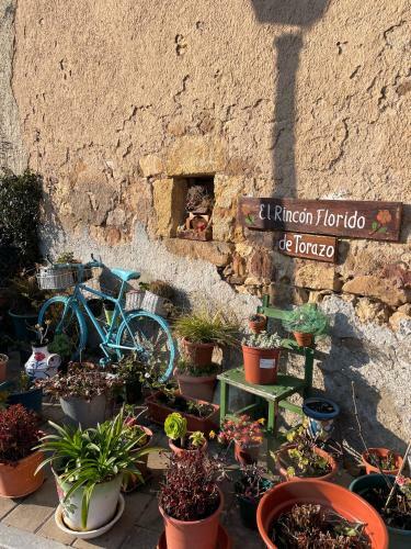 Apartamento El Escondite De Torazo