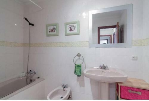 Apartamentos Marte