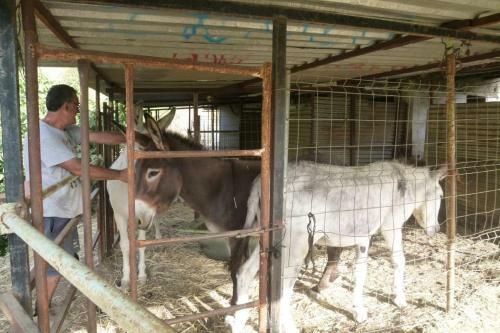 Bed & Breakfast Finca Los Burros