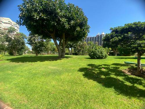 Apartamento Playamar Primera Linea Front De Mer