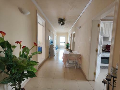 Hostal Alma Libre
