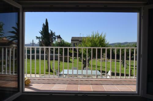 Sue�a Toledo