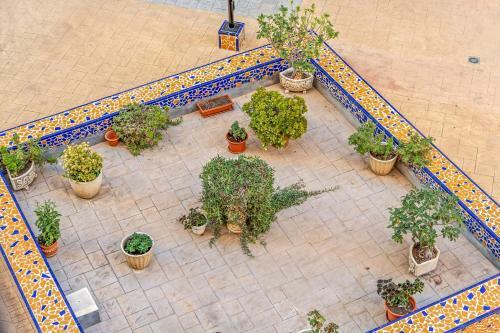 Apartamento A 200m De La Playa