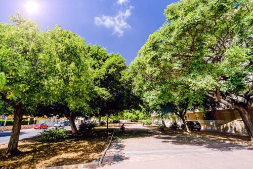 Apartamento Holiday San Miguel 1/8