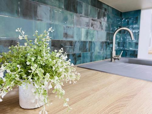 Apartamento Blue House 1� Linea Playa