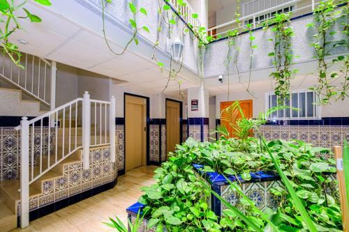 Apartamento Virgen De La Paloma Id147