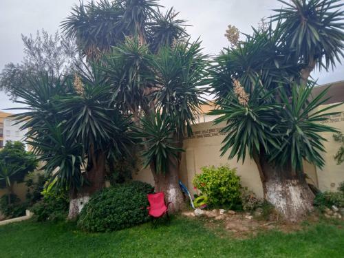 Apartamento Torremolinos Est�dio Com Piscina