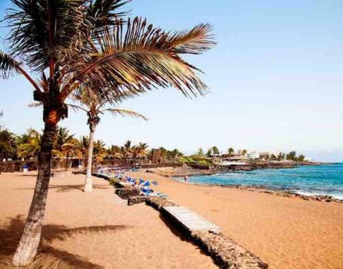 Oasis En Lanzarote
