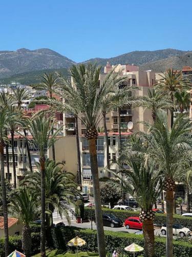 Apartamento Torre De La Roca