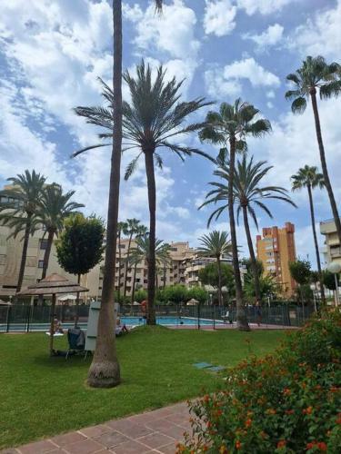 Apartamento Primera Linea Del Mar ! Acceso Directo Playa Carihuela