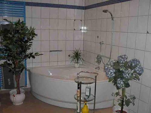 Hostal Pension Rose