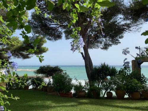 Bed & Breakfast Para�so Costa Dorada