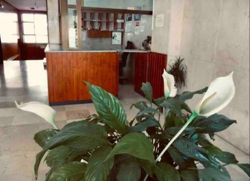Apartamento La Posada Del Viajero