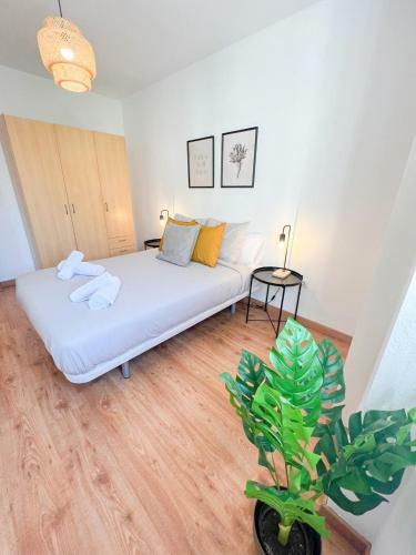 Large & Cozy Centrally Apartment