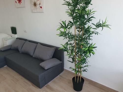 Acogedor Apartamento 38 Verdi7