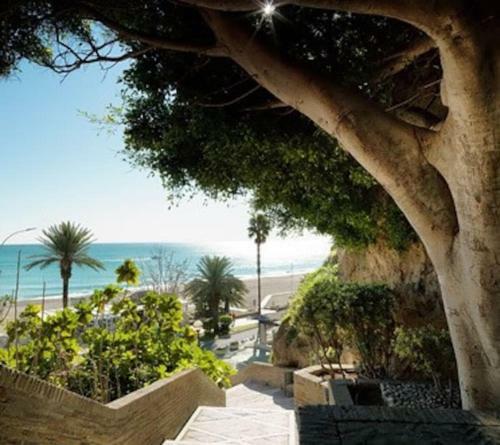 Apartamento Dalias Suite