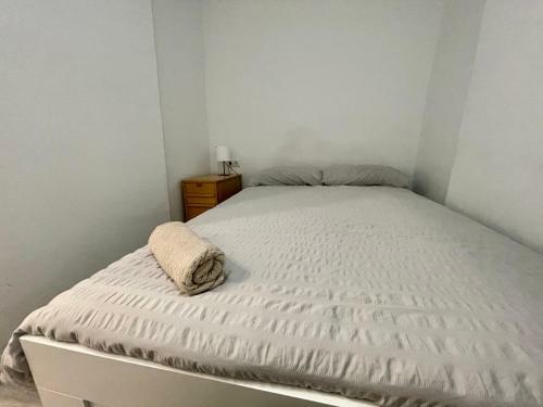 C�modo Apartamento A UNA Calle De La Catedral!