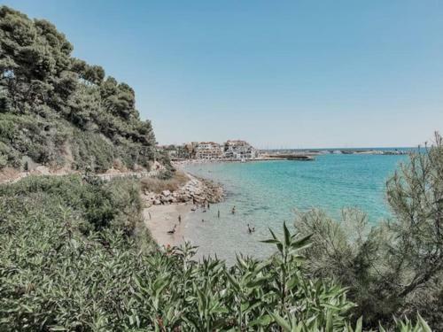 �impactante Apartamento A Cero Linea de Mar!