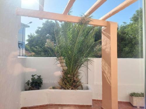 Apartamento Piscina, Wifi, Patio Con Vistas