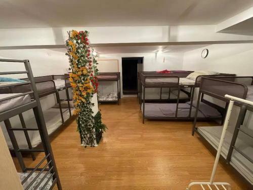 Apartamento Estudio En El Coraz�n De Tacoronte