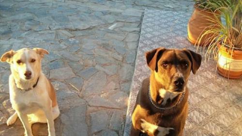 Bed & Breakfast Alegria Y Luna