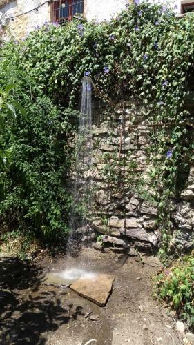 Casa Amigos Sorvilan - La Almendra