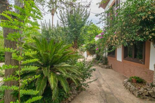 Villa Es Moli Dels Reis