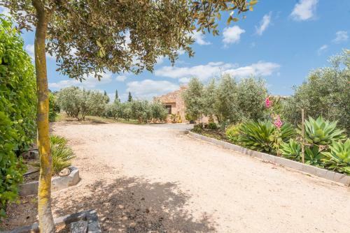 Finca Ses Oliveres By Mallorca House Rent