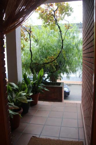 Agroturismo Casa Pinos