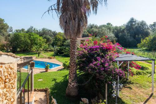 Villa Finca Pep
