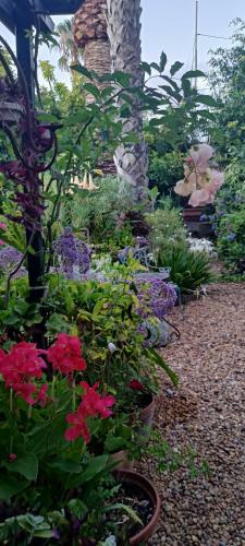 Apartamento Casa Flora Garden Studio (gite)