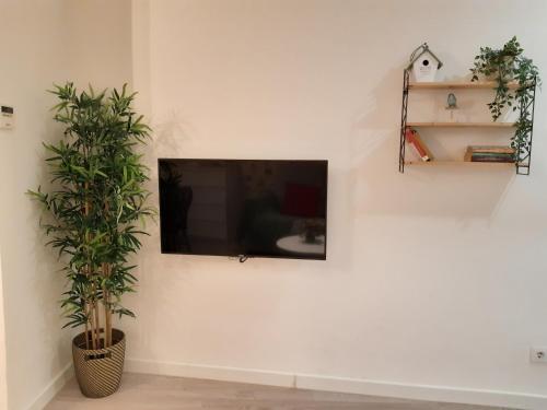 Apartamento Alvarez Quintero Central Superior