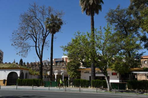 Apartamento First Floor Close Macarena Church