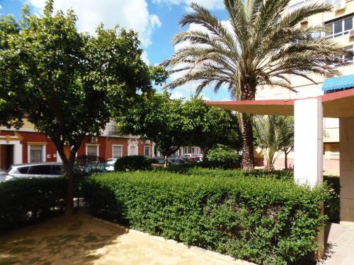 Apartamento En Triana