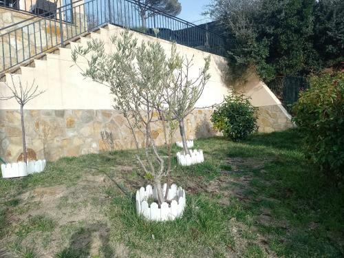 Apartamento Gran Estudio Cerca De La Costa Brava.