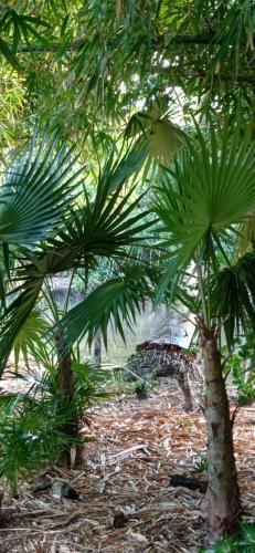 Hostal Animal Paradise