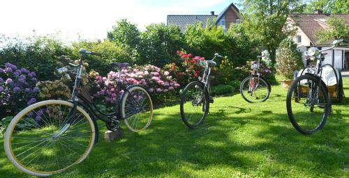 Hostal Altdeutscher Hof Beckord