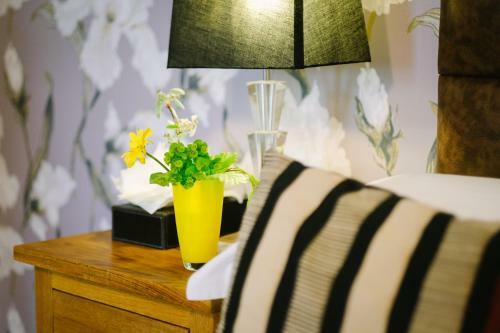 Hostal Elm House