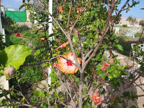 Apartamento Happy Paradise 2