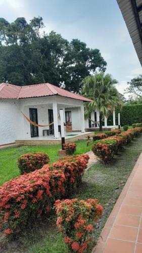 Hotel Caba�as Llano Lindo Apiay