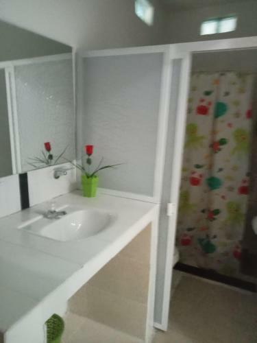 Casa Campestre Con Piscina Jacuzzi Y Golfito