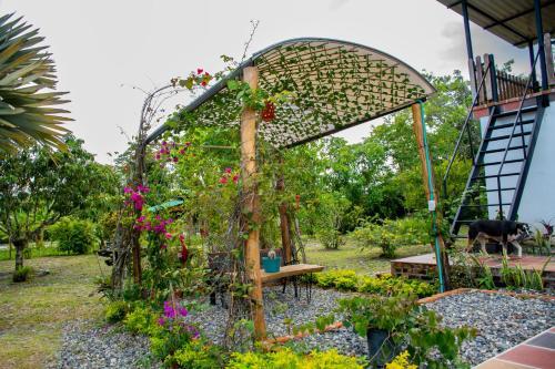Hacienda Mi Rancho