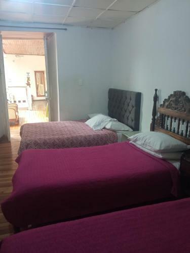 Hotel Dux