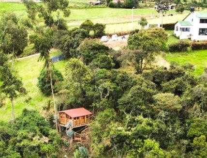 Apartamento Casiopea Glamping