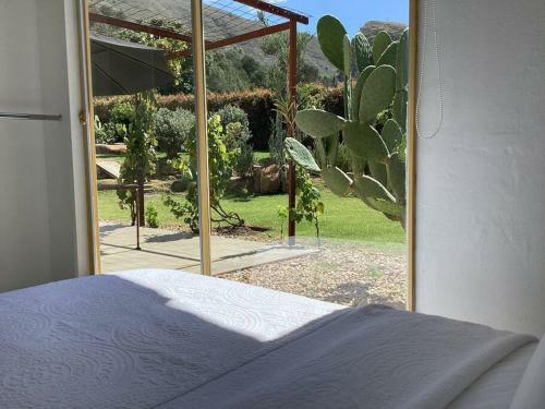 Villa Casa De Los Olivos!
