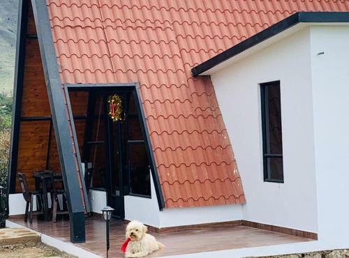 Apartamento Villa Rose