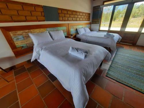 Hotel Pliosaurio Campestre